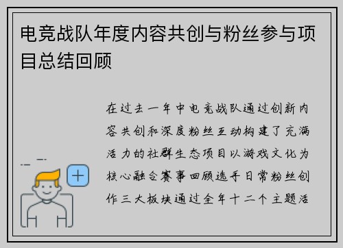 电竞战队年度内容共创与粉丝参与项目总结回顾